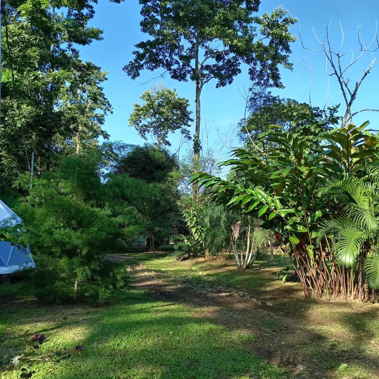 Ferienwohnung Glamping Naioth Guápiles Exterior foto