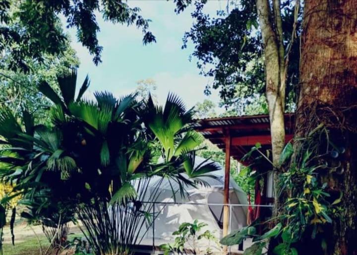 Ferienwohnung Glamping Naioth Guápiles Exterior foto