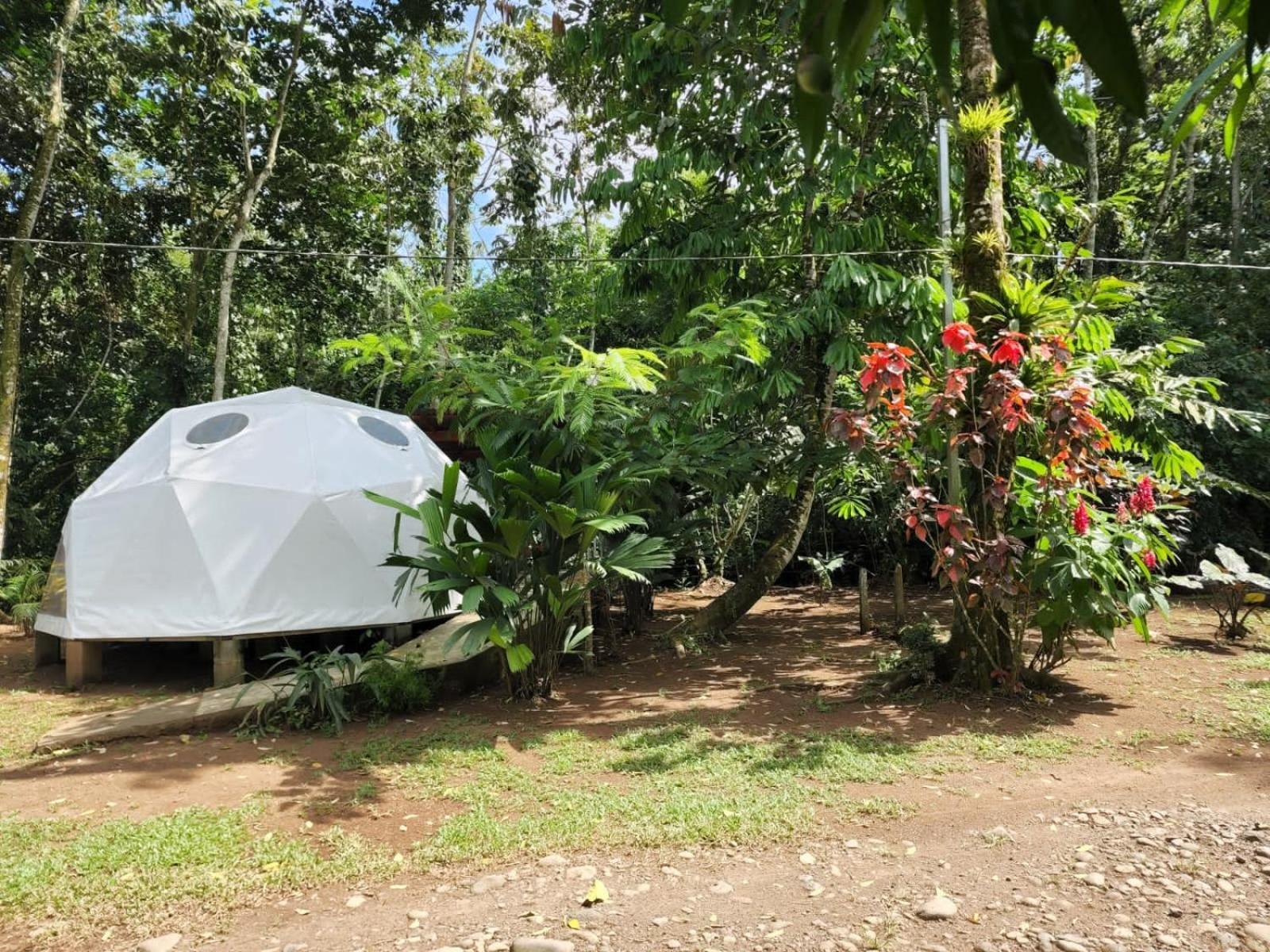 Ferienwohnung Glamping Naioth Guápiles Exterior foto